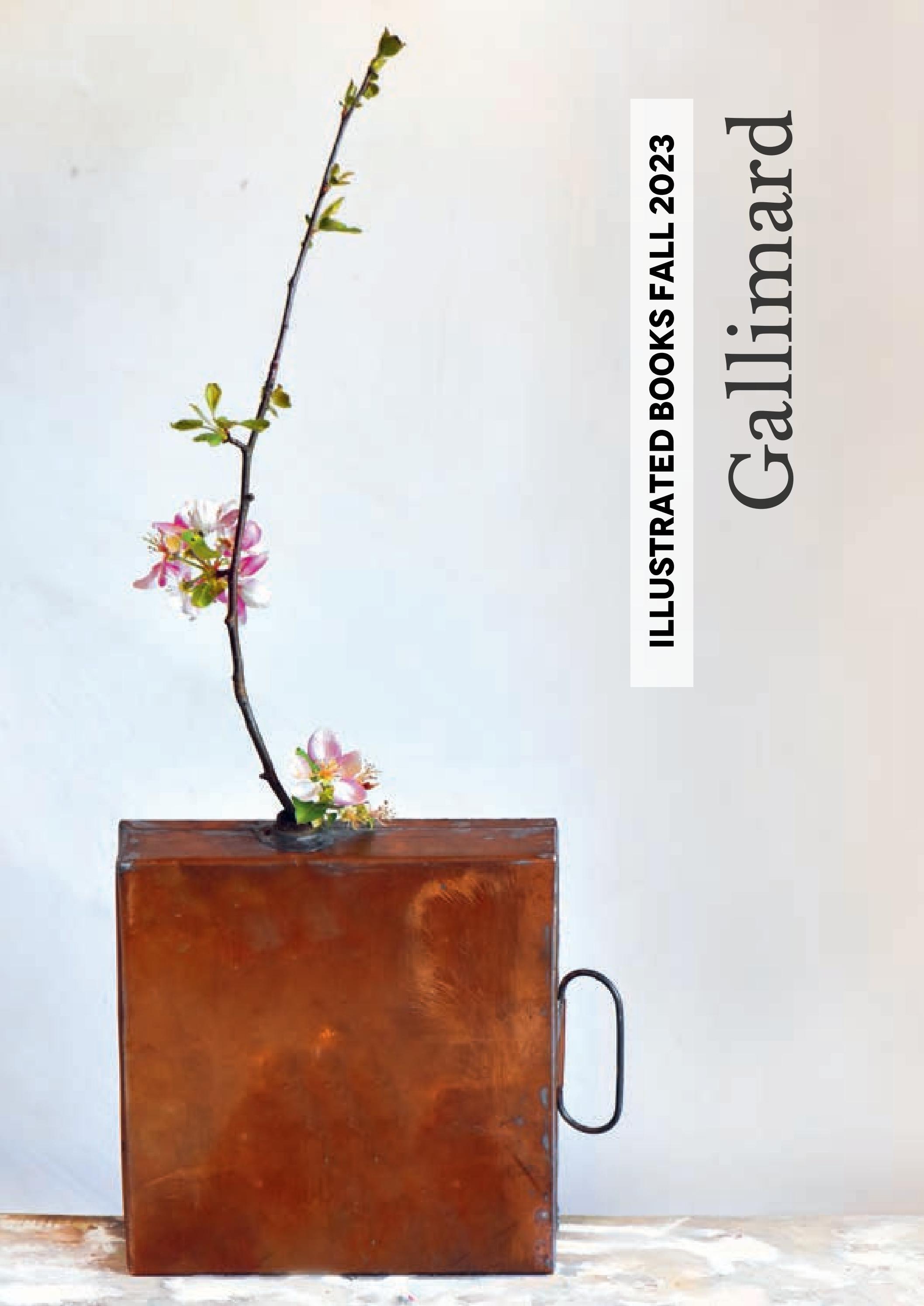 Gallimard Fall 2023 by ACC Art Books - Issuu