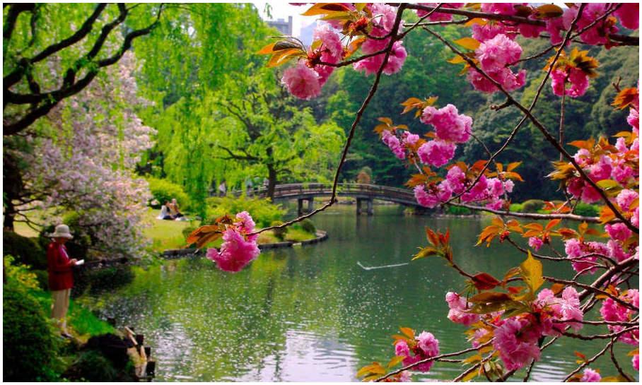 shinjuku-jardin-tokyo